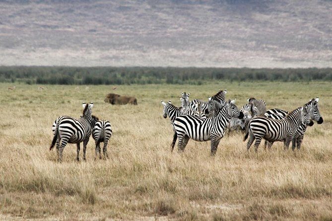 Cape Town - The Best of Aquila Safari Tour - Ceres Fruit Valley: the quick sensory stop you’ll remember