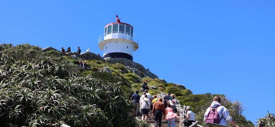 Cape Town: Tour Cape Point & Boulders Beach Penguin Day Trip - Why This Day Trip Works: Cape Point + Penguins Without the Rental Car Stress