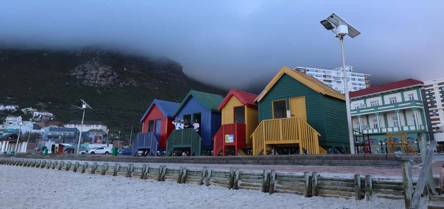 Cape Town: Tour Cape Point & Boulders Beach Penguin Day Trip - Hout Bay Harbour: Seal Colony Boat Option and Flexible Free Time