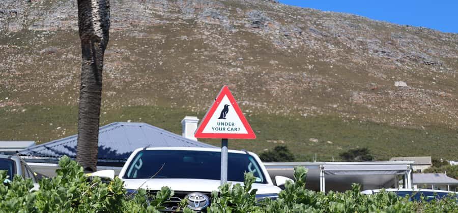 Cape Town: Tour Cape Point & Boulders Beach Penguin Day Trip - Cape Point Lighthouse: Funicular Ride or a Quick Hike