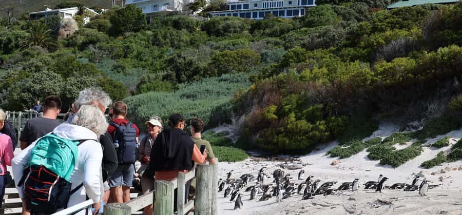 Cape Town: Tour Cape Point & Boulders Beach Penguin Day Trip - Pickup and the Pace: What a 9-Hour Schedule Feels Like