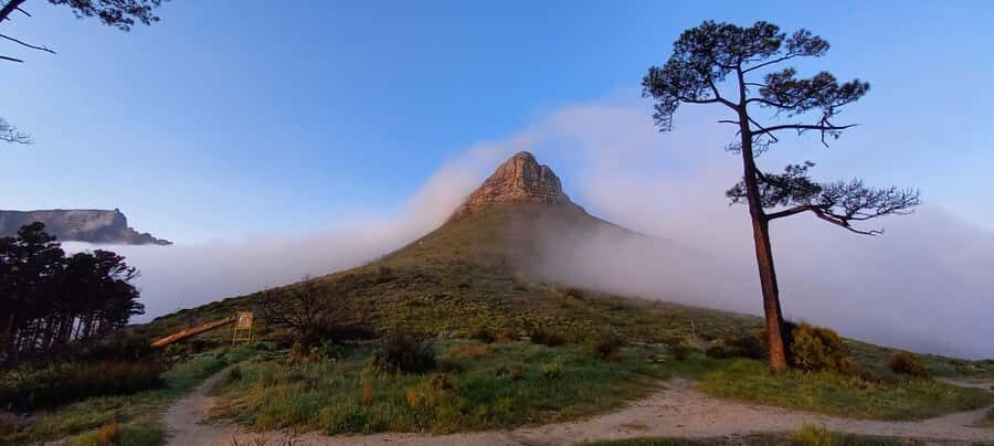 Cape Town: Trail Run Lion's Head and Signal Hill Morning - Setting Off From Kloof Neck Parking With the Right Morning Energy