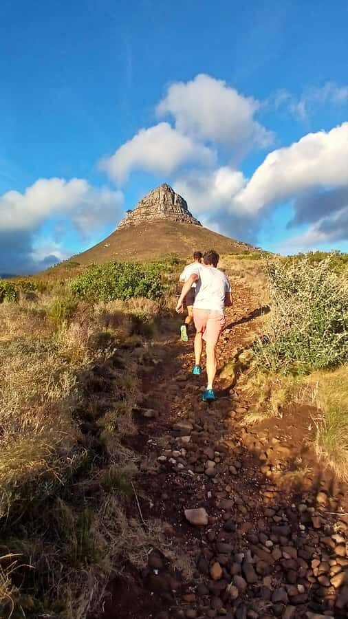 Cape Town: Trail Run Lion's Head and Signal Hill Morning - The Cape Floral Region Lesson: Seeing Plants With New Respect
