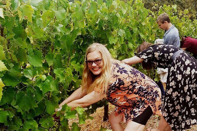 Cape town - Unique Private wine tour Blend & bottle own wine - Key things to look forward to