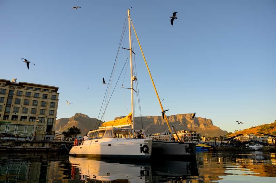 Cape Town: V&A Waterfront 1-Hour Scenic Cruise - Getting On Board at the V&A Waterfront (and Finding IQ Catamaran Fast)