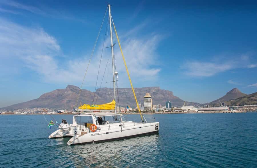 Cape Town: V&A Waterfront 1-Hour Scenic Cruise - The Included Drink Moment: Gin and Tonic, Sparkling Wine, and Juice