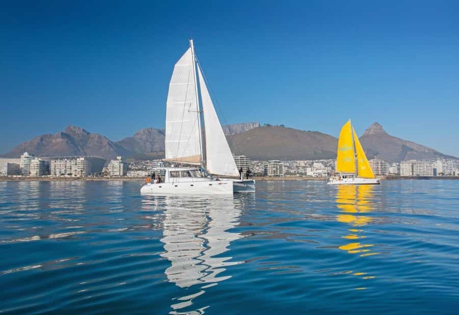 Cape Town: V&A Waterfront 1-Hour Scenic Cruise - Wildlife Watching: What You Might Spot Off Cape Town’s Coast