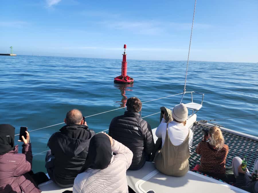 Cape Town: V&A Waterfront 1-Hour Scenic Cruise - Views That Actually Change as the Boat Moves