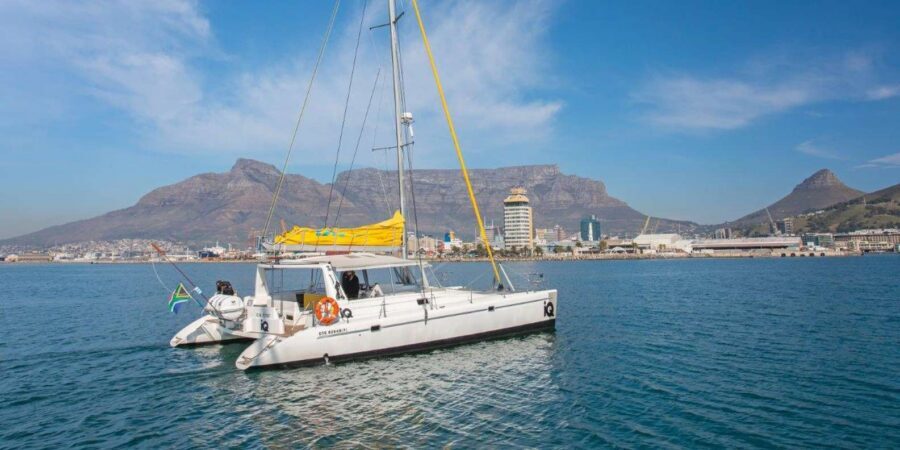 Cape Town: V&A Waterfront 1-Hour Scenic Cruise - The Crew and Service Style: Friendly, Easygoing, and Helpful