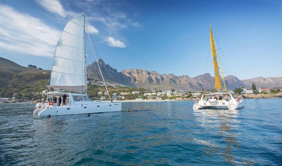 Cape Town: V&A Waterfront 1-Hour Scenic Cruise - What You’ll Actually Do During the Cruise (A Simple 1-Hour Loop)