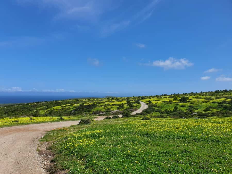 Cape Town: West Coast Spring Tour 2025 - Who this tour fits best (and who should rethink it)
