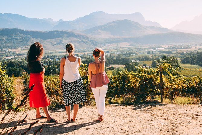 Cape Town Wine Tasting - Stop 3: Paarl for Afrikaans Culture and the Majesty of Paarl Rock