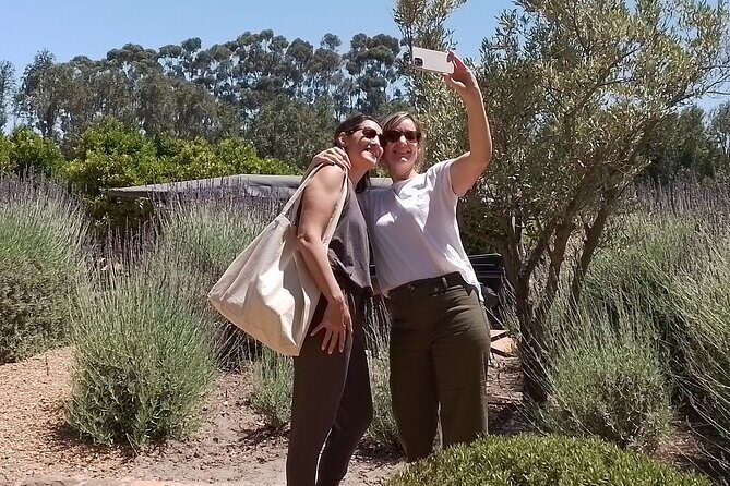 Cape Town Wine Tasting - What This Tour Includes (and What It Leaves Up to You)