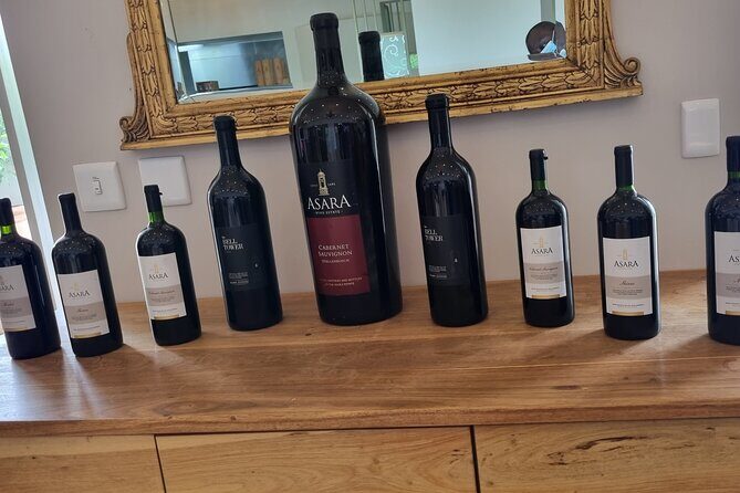 Cape Town Wine Tour & Tasting all inclusive - Stop 3 at Tokara: Simonsberg, Fynbos, and False Bay Views