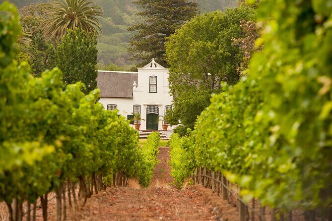 Cape Town: Winelands Private Half Day Tour - How the Route Pacing Works (4 to 5 Hours, No Fluff)