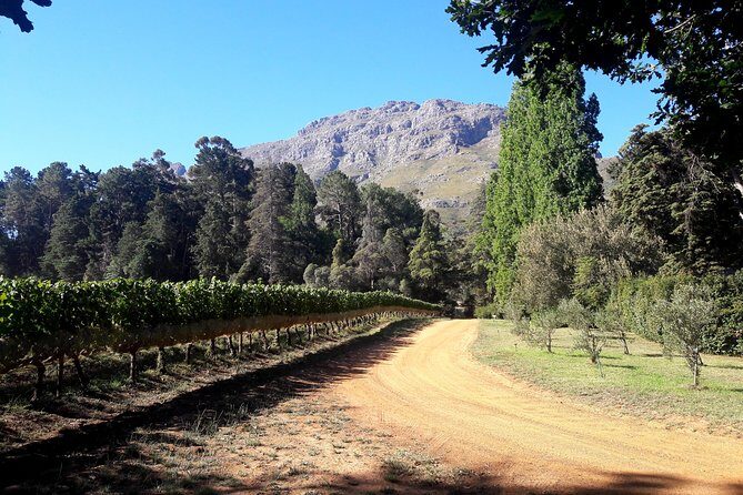 Cape Town Winelands Stellenbosch Private Afternoon Tour - Jonkershoek Nature Reserve: scenic drive for a slower palate