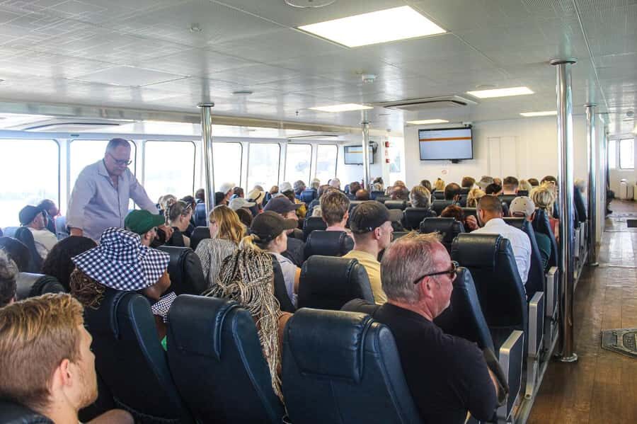 Cape Town:Robben Island Guided Tour, Skip the Ticketing Line - Getting started at the V&A Waterfront: where to meet and what to do