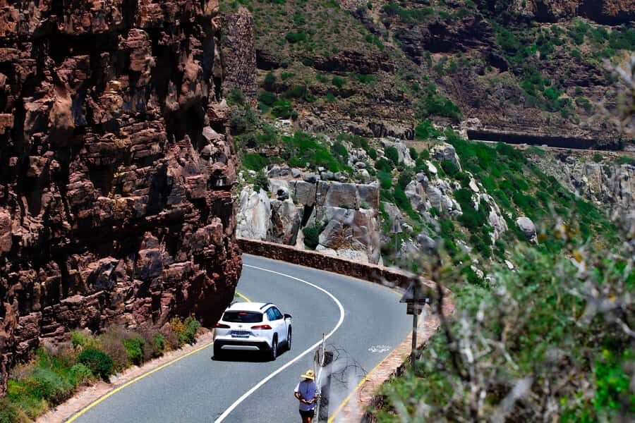 Cape Town's Best: Cape Point & Boulders Beach Group Tour - Chapman’s Peak Drive: The Included Scenic Stretch