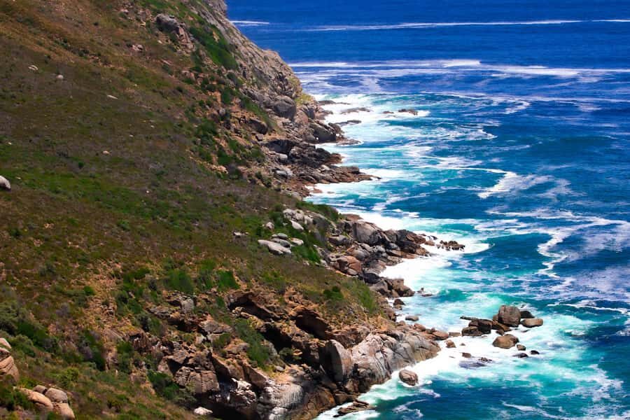 Cape Town's Best: Cape Point & Boulders Beach Group Tour - Boulders Penguin Colony: Time Well Spent With the African Penguins