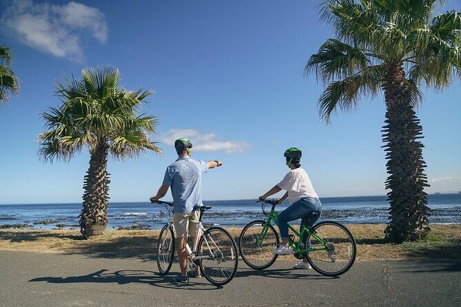 Cape Town's Finest City Bike Tour - Stop 5: Bo-Kaap color, Cape Malay stories, and curry smells
