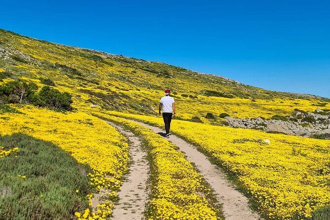 Cape West Coast Flower Tour - Planning the Cape West Coast Flower Season (and Why Timing Matters)