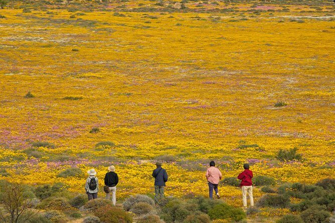 Cape West Coast Full Day Private Day Tour - !Khwa ttu: learning from a qualified San tour guide