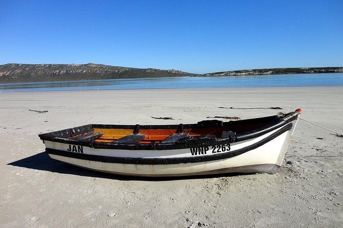 Cape West Coast Full Day Private Day Tour - West Coast National Park: birds, daisy blooms, and Eve’s footprint story
