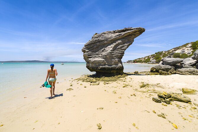 Cape West Coast Full Day Private Day Tour - West Coast Fossil Park: five million years in one hour