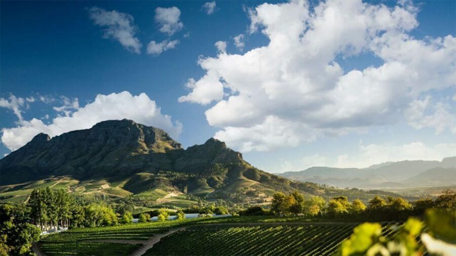 Cape Wineland 3 Award Winning Vineyards - Stellenbosch cobblestones to Cape Dutch charm: the first wine estate experience