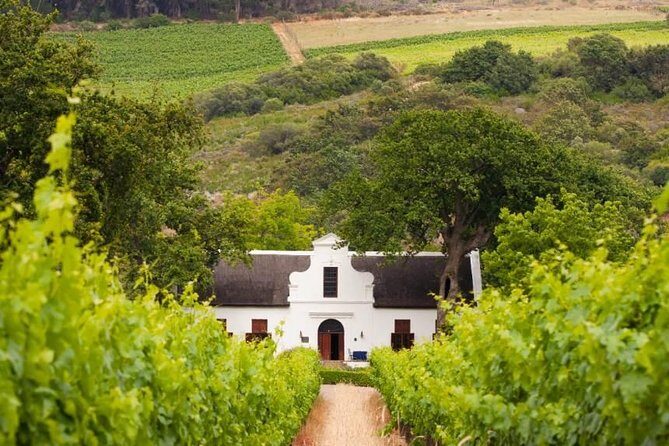 Cape Winelands and Wine Tasting Full Day Tour - Cape Winelands in One Day: A Route You Can Adjust