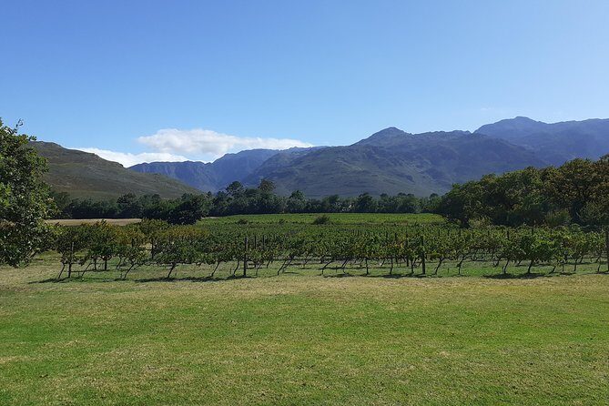 Cape Winelands and Wine Tasting Full Day Tour - Price and logistics: what you’re really paying for