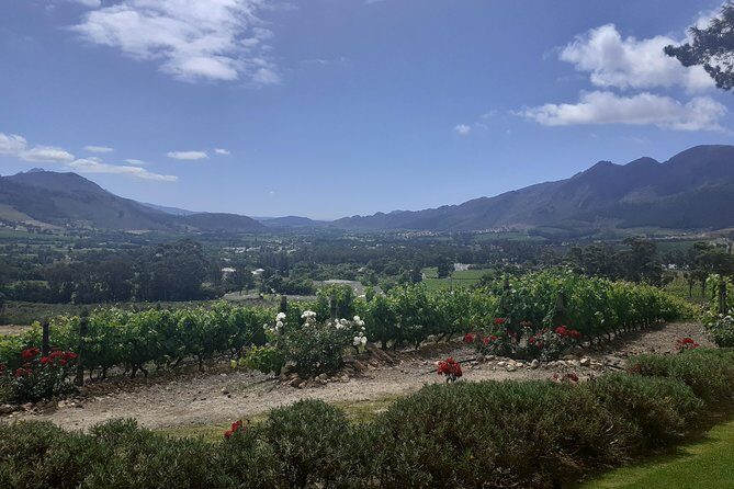 Cape Winelands and Wine Tasting Full Day Tour - Stop 3: Franschhoek town time (French Corner vibes)