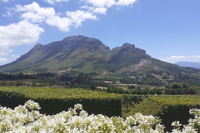 Cape Winelands and Wine Tasting Full Day Tour - Stop 4: Marianne Wine Estate near Stellenbosch (and the biltong pairing idea)