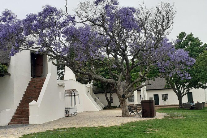 Cape Winelands and Wine Tasting Full Day Tour - Stop 5: Stellenbosch walk-around time for architecture and atmosphere