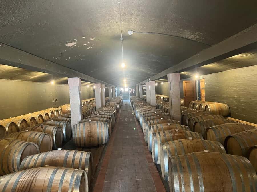 Cape Winelands Experience: Paarl, Stellenbosch & Franschhoek - Key Highlights That Make This Tour Worth Your Time