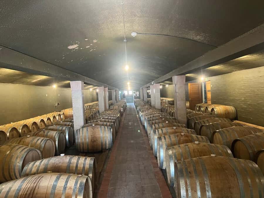 Cape Winelands Experience: Paarl, Stellenbosch & Franschhoek - The Mandela Stop: Why It Matters (and How to Prepare)