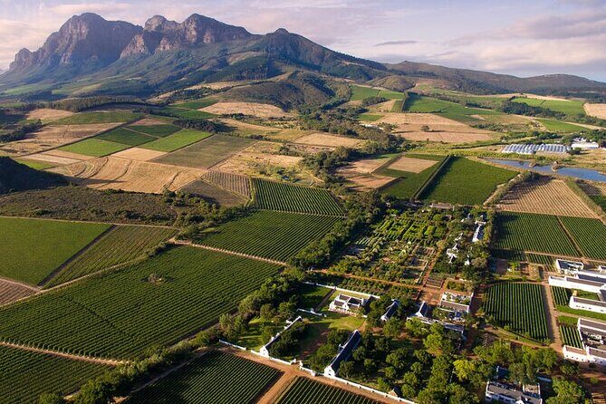 Cape Winelands Explore Full Day Tour with Private Transfer - Cape Winelands, but with breathing room