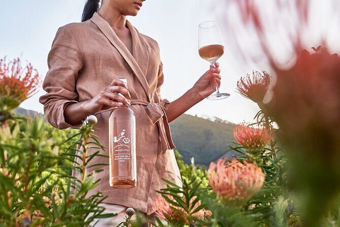 Cape Winelands Explore Full Day Tour with Private Transfer - Price and value: what $241.56 is really paying for