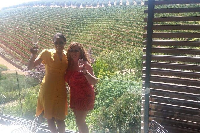 Cape Winelands group tour - Stellenbosch stop: oak-lined streets and a classic wine route feel