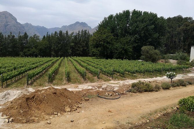 Cape Winelands Stellenbosch Franschhoek Paarl Tour from Cape Town - A full-day Cape Winelands loop that actually feels organized