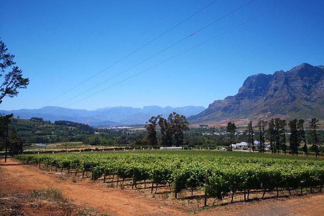 Cape Winelands Stellenbosch Franschhoek Paarl Tour from Cape Town - Hell’s Hoogte Mountain Pass: the drive that keeps your eyes busy