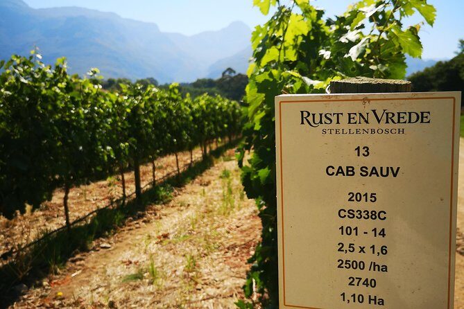 Cape Winelands Stellenbosch Franschhoek Paarl Tour from Cape Town - Franschhoek wine and town stops: five wines, plus heritage details