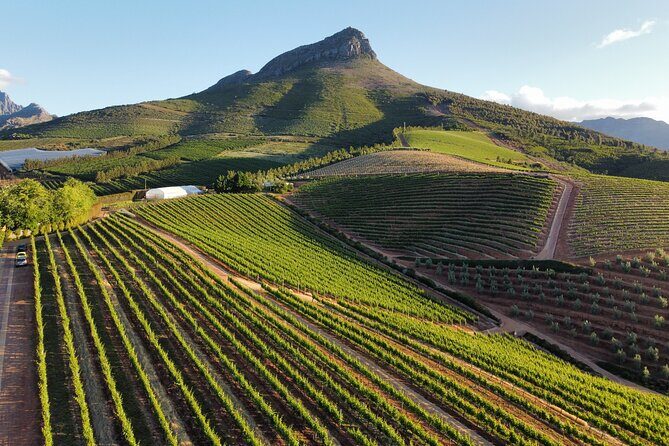 Cape Winelands Tour - Key things to know before you go