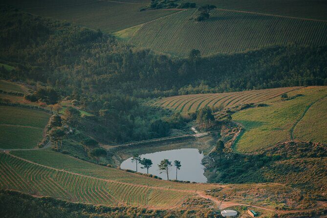 Cape Winelands Tour - Fairview Wine and Cheese: When the Pairing Is the Point