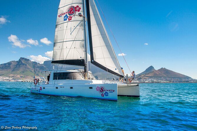 Catamaran Cruise and Sushi Experience in Cape Town - The views you’ll actually care about: Table Mountain and Green Point