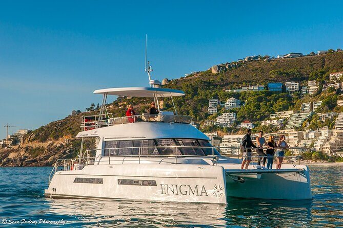 Catamaran Cruise and Sushi Experience in Cape Town - Wildlife on Table Bay: what to look for and how to be realistic
