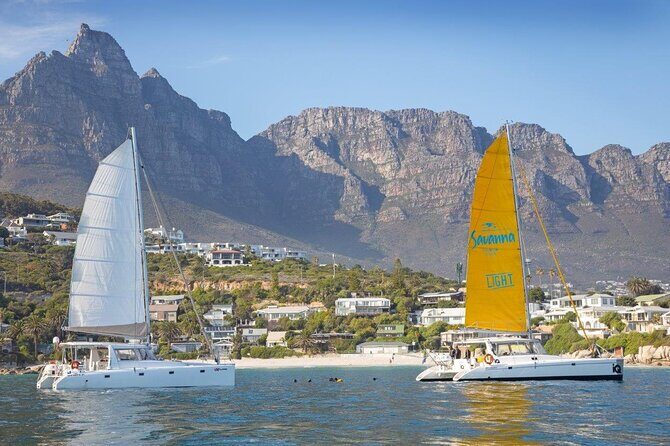 Catamaran Cruise in Cape Town - Key things to know before you sail