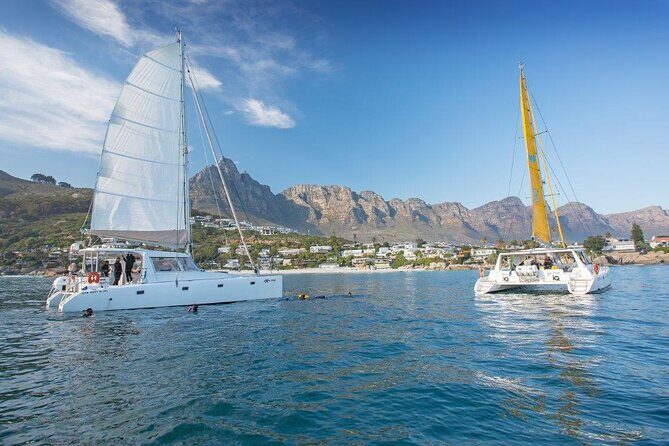 Catamaran Cruise in Cape Town - Why This Catamaran Works So Well in Cape Town