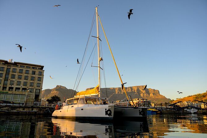 Catamaran Cruise in Cape Town - Table Mountain Photo Angles You’ll Be Glad You Didn’t Miss