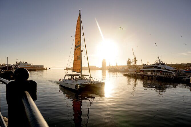 Catamaran Cruise in Cape Town - Crew, Safety Info, and the Calm Pace On Board